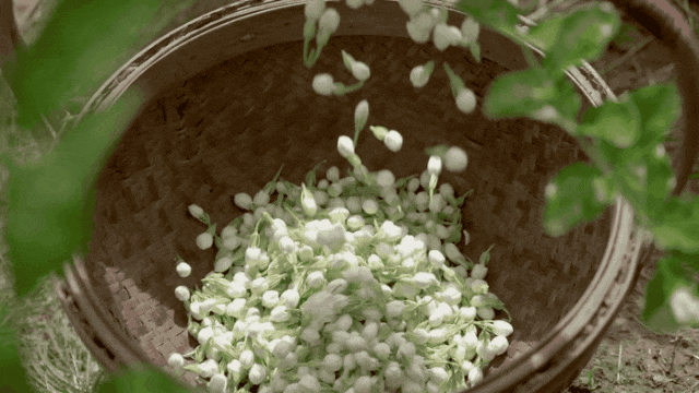 被抢空的牌子这次居然100+就能拥有开元棋牌app真爱大牌返场 一上线就(图20)