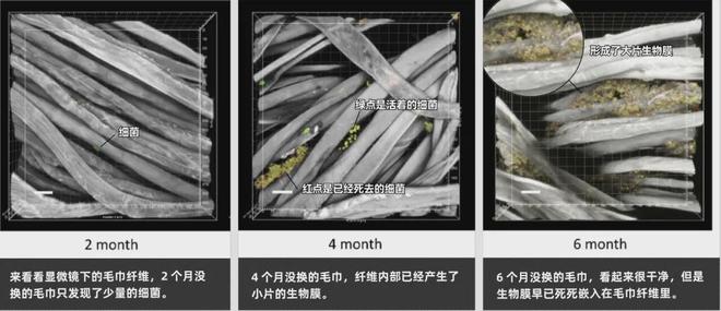 的同款毛巾！我们低价搞到了开元棋牌app胖某来刚上架(图9)
