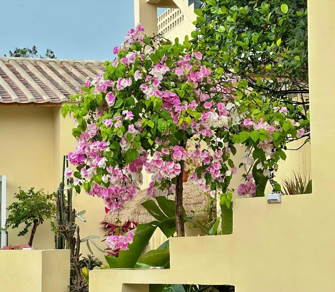 北海亲子游5天4晚价格跟团五日游报价开元棋牌网站北海亲子跟团游多少钱？(图1)